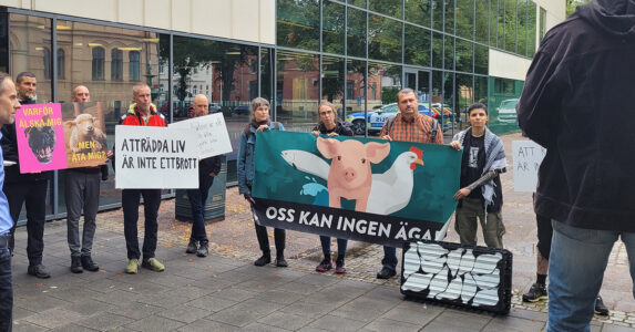 En liten demonstration.