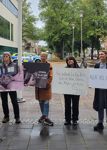 En liten demonstration.