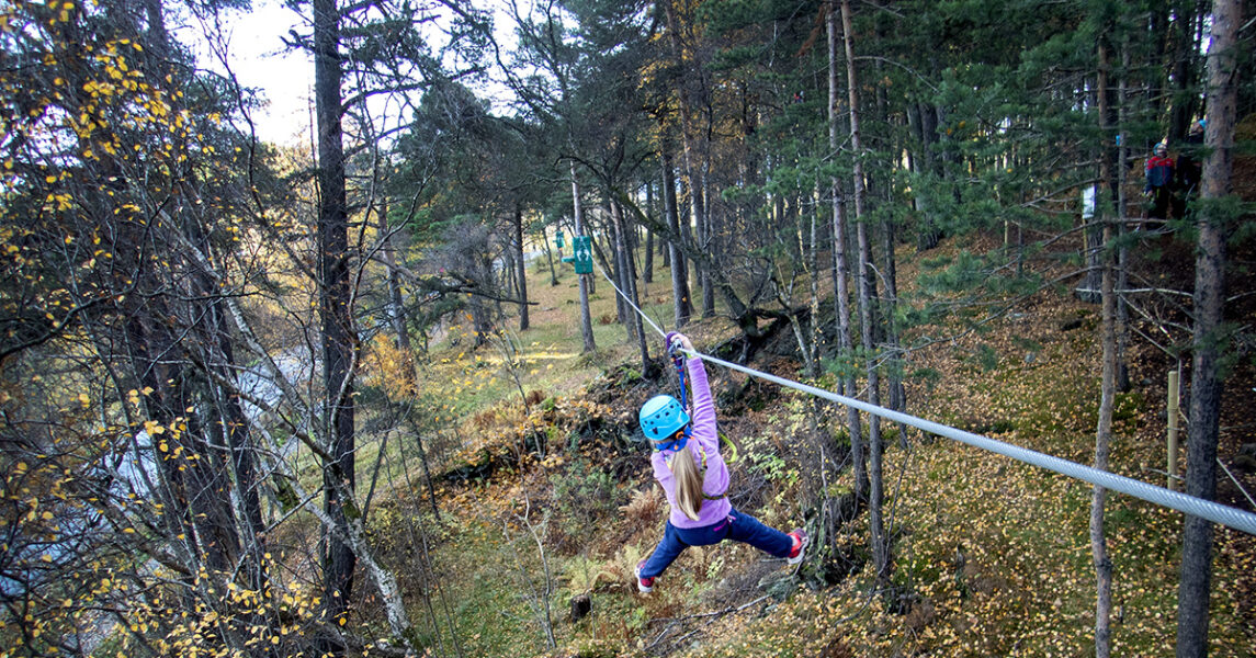 Ett barn åker linbana bland trädtopparna.