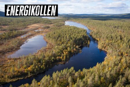 Spånkojan i Norrbotten skyddades 2023 efter en överenskommelse mellan Sveaskog och naturvårdsverket.