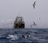 Krillfartyg i Antarktis