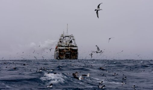 Krillfartyg i Antarktis