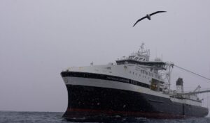 En fågel flyger förbi medan snön faller på det norska företaget Aker BioMarines fartyg Antarctic Endurance, som är i drift i Södra ishavet utanför kusten av Sydorkneyöarna, norr om Antarktiska halvön.