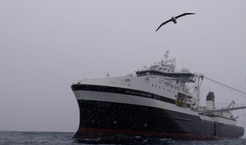 En fågel flyger förbi medan snön faller på det norska företaget Aker BioMarines fartyg Antarctic Endurance, som är i drift i Södra ishavet utanför kusten av Sydorkneyöarna, norr om Antarktiska halvön.