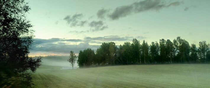 Utsikt från tågfönster