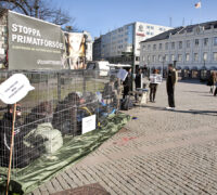 demonstranter sitter på torg, stoppa primatförsök