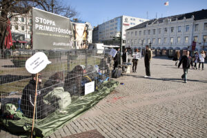 demonstranter sitter på torg, stoppa primatförsök