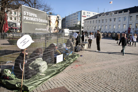 demonstranter sitter på torg, stoppa primatförsök