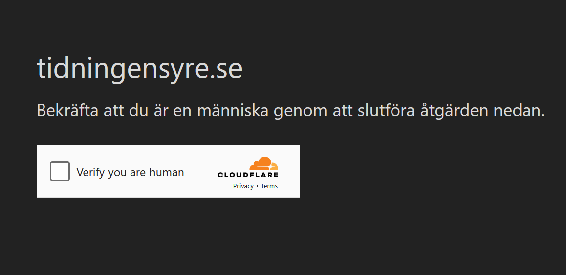 En bild på ett falskt captcha-test En bild på ett falskt captcha-test