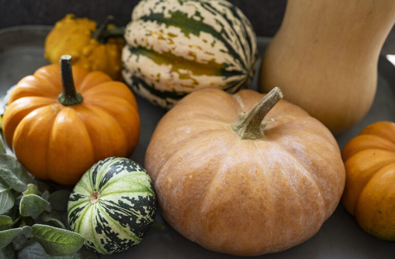 Pumpor av olika slag