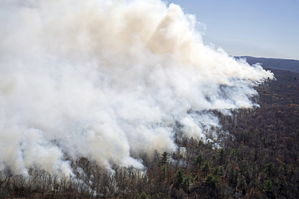 skogsbrand, rök väller upp, blå himmel