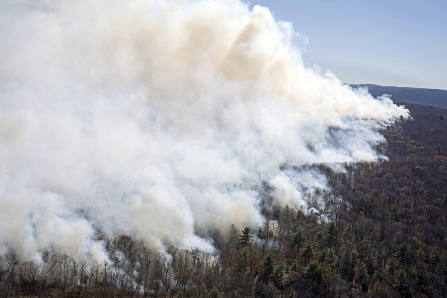 skogsbrand, rök väller upp, blå himmel