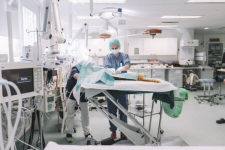 En veterinär och en djurskötare opererar en katt.