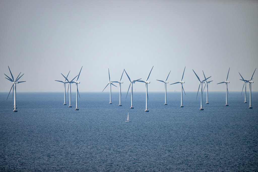 Världen väntas bygga fler förnybara energiprojekt under de kommande fem åren än under de senaste 40 åren.