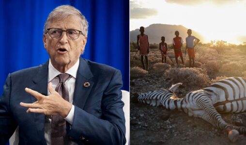 Bill Gates och en bild på en zebra som dött av tört i Kenya, några barn tittar på där den ligger död på marken.