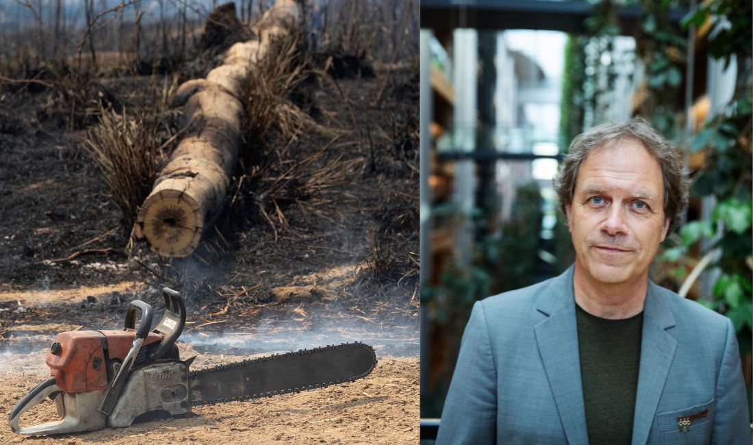 Motorsåg och en bild på Pär Holmgren.