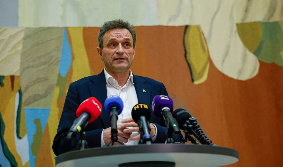 MDG:s partiledare Arild Hermstad.