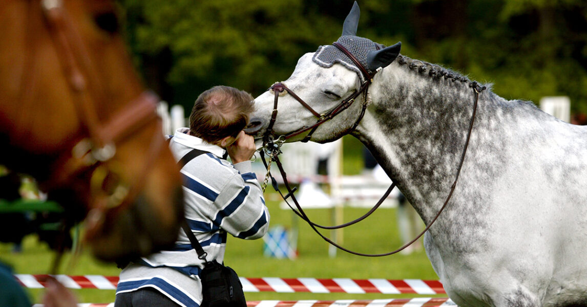 Två hästar på en hoppbana.