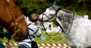 Två hästar på en hoppbana.
