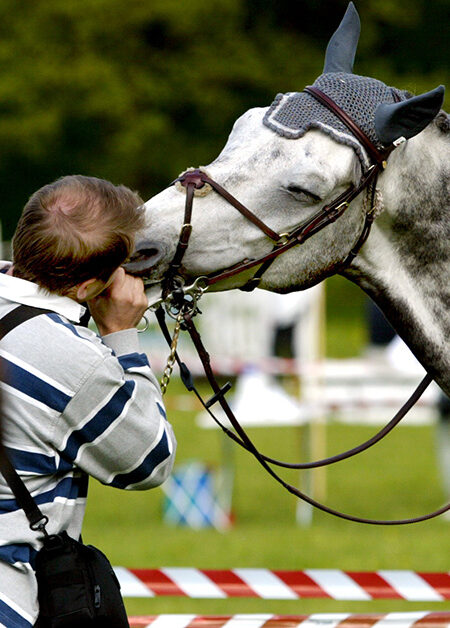 Två hästar på en hoppbana.