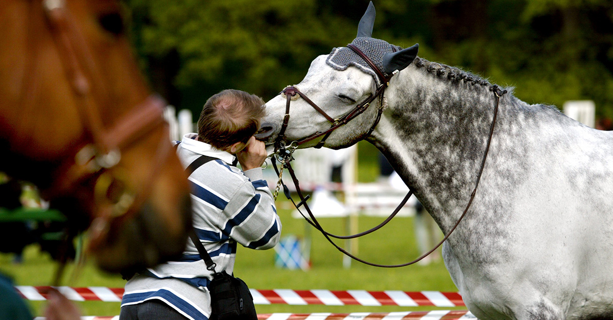 Två hästar på en hoppbana.