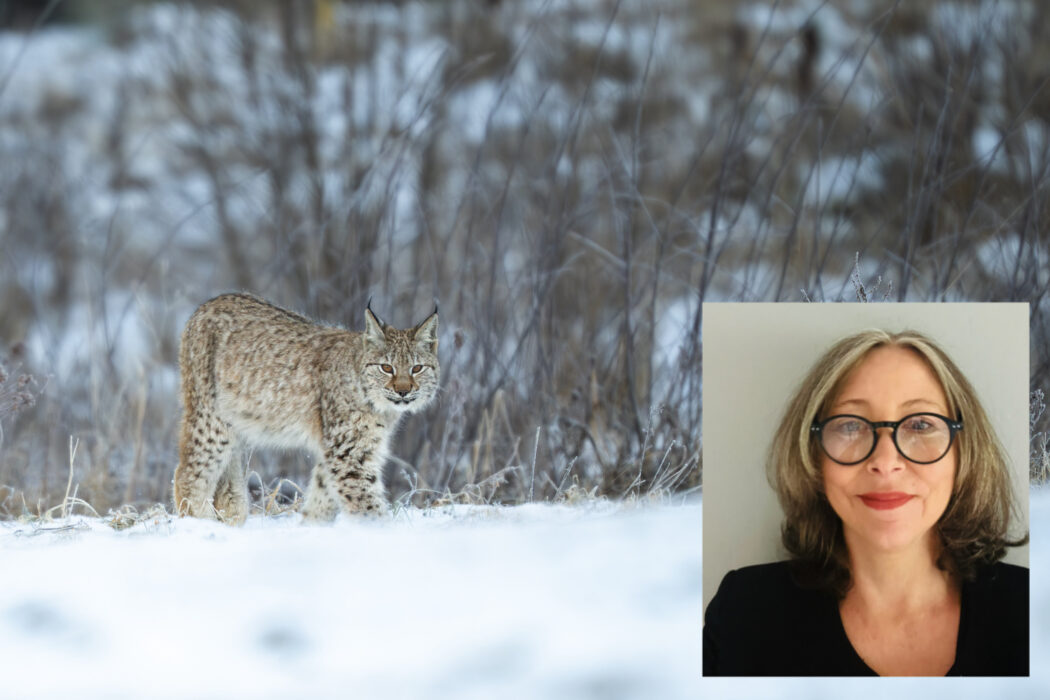 lodjur och Victoria Olausson