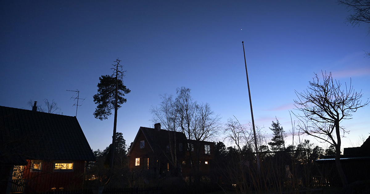 Villor mot kvällshimmel.