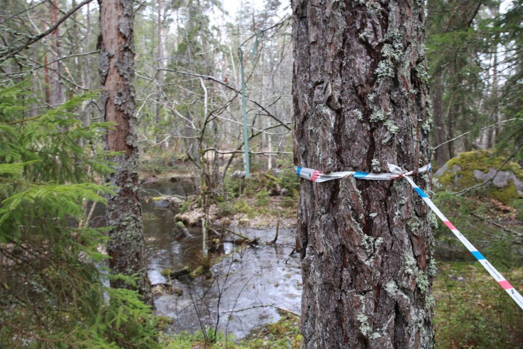 Skogsstyrelsen har markerat var skogsägaren måste ta hänsyn, strax intill Tunaån.