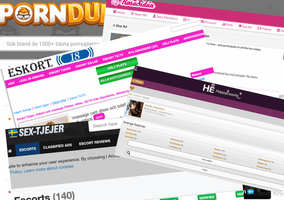 De största sajterna besöks av upp till 150 000 svenskar varje månad och erbjuder flertalet olika sexuella tjänster.