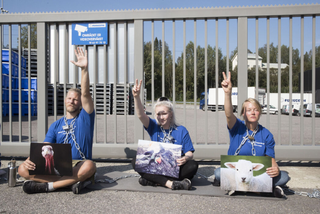 Aktivister fastkedjade vid en port.