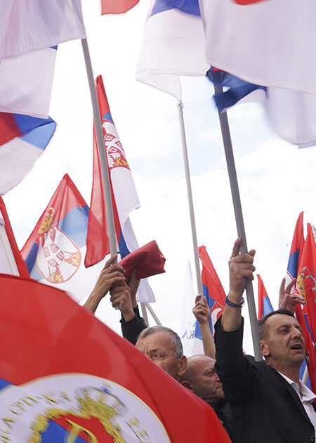 Demonstranter med flaggor.