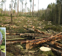 Hygge. Skribenten inklippet.