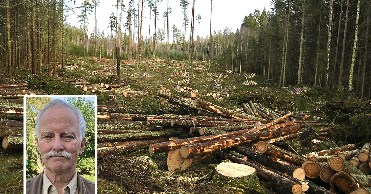 Hygge. Skribenten inklippet.