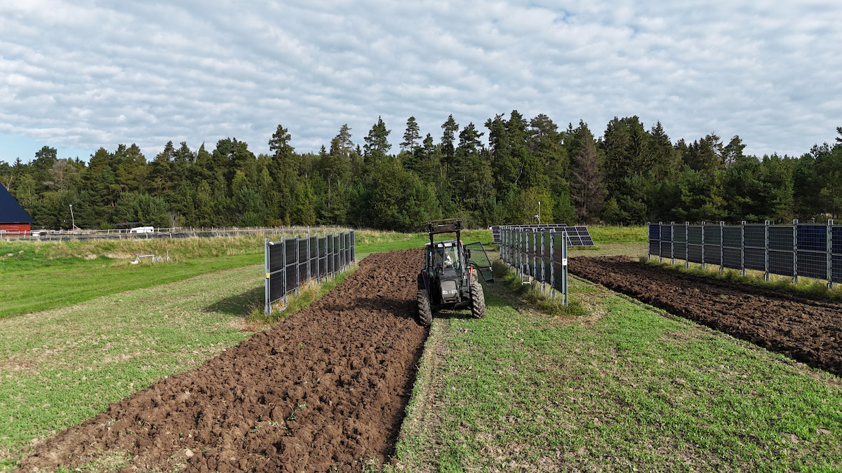 Sveriges första agrivoltaiska anläggning är en forskningsprojekt utanför Västerås som drivs i samarbete med Mälardalens universitet.