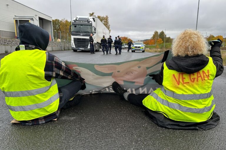 Två aktivister sitter ned och blockerar vägen för en lastbil.