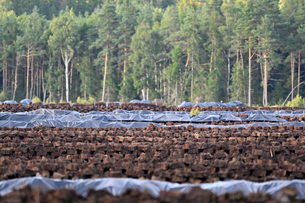 Föreställer Hällarydsmossen som är en tovtäkt utanför Stockaryd.