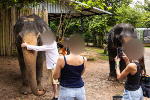 pixlade människor klappar elefanter