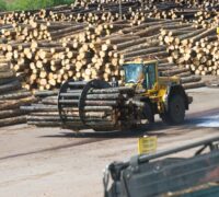 En lastare med timmer på ett sågverk. Foto: Fredrik Sandberg/TT