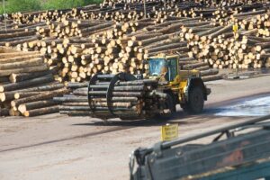 En lastare med timmer på ett sågverk. Foto: Fredrik Sandberg/TT