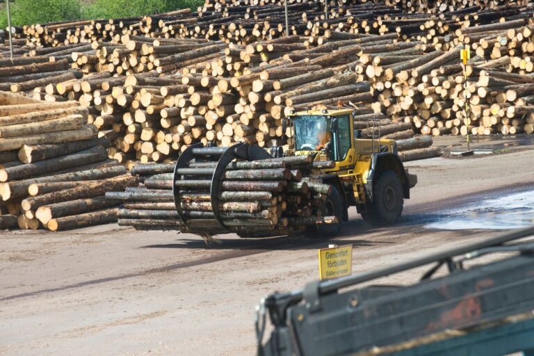 En lastare med timmer på ett sågverk. Foto: Fredrik Sandberg/TT