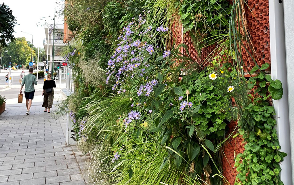 Vertikala växtbäddar är ett exempel på stadsgrönska som kan komplettera träd.