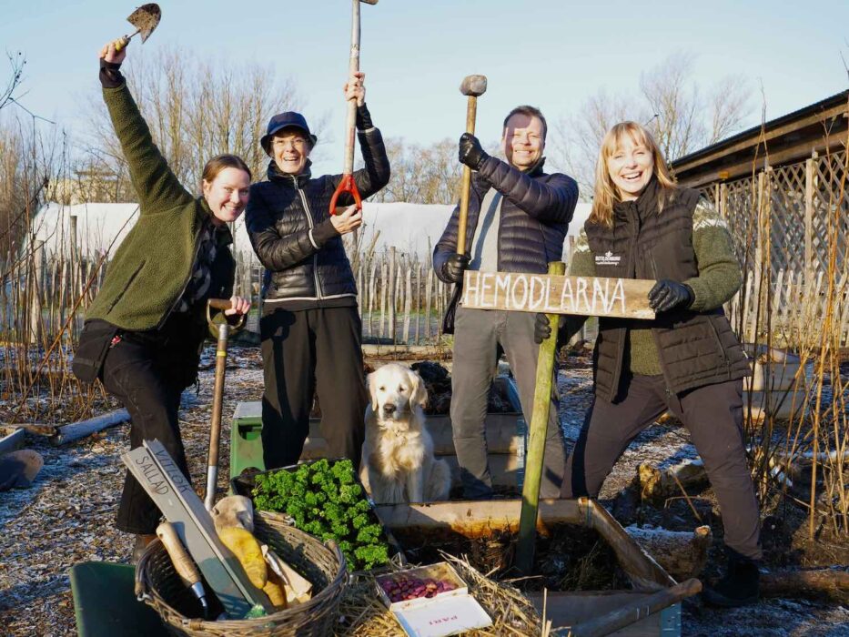 Malmö kommun gör gemensam sak med stiftelsen Botildenborg i ett projekt för att få villaägare att odla mat.