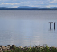Bokstäverna t, i, d stiger upp ur en sjö.