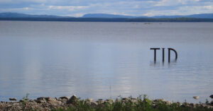 Bokstäverna t, i, d stiger upp ur en sjö.