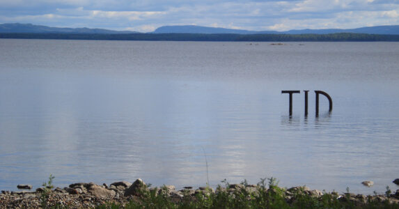 Bokstäverna t, i, d stiger upp ur en sjö.