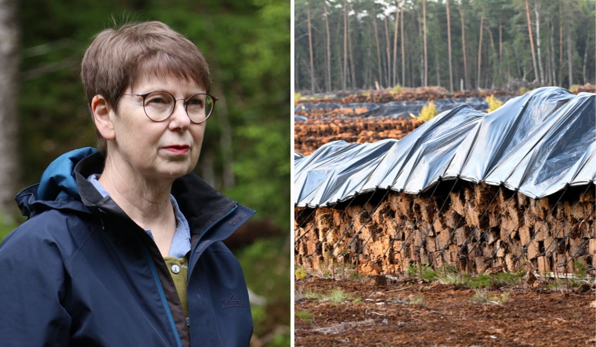 ”Man kan misstänka att det är ett beställningsjobb från torvindustrin”, säger forskaren Åsa Kasimir om den nya utredningen, där branschföreträdare från Svensk torv ingår, men ingen oberoende forskare.