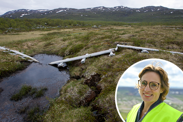 EU:s miljökommissionär Jessika Roswall vill använda naturen som en del av försvaret – genom våtmarker, skog och buskage som gör gränser svårare att ta sig över.