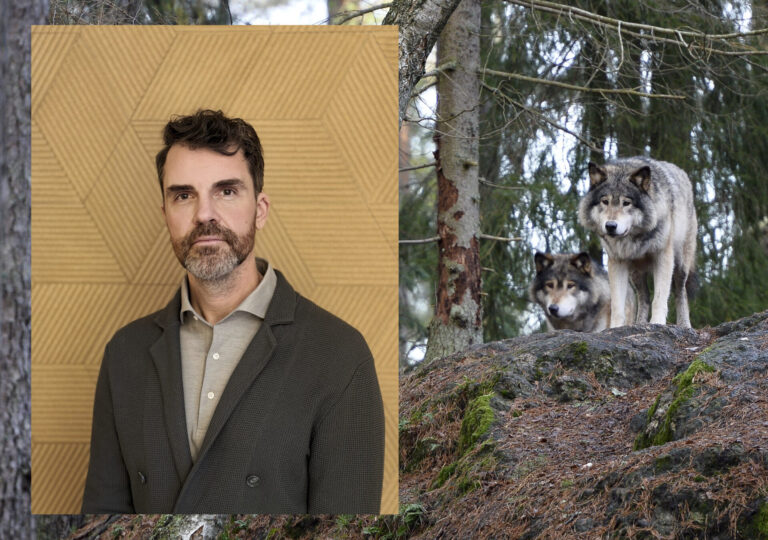 misha istratov och vargar