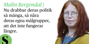 Skribenten och ett citat.