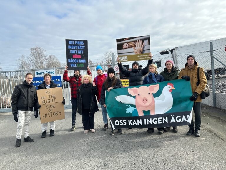 Stöddemonstration vid slakteriet.